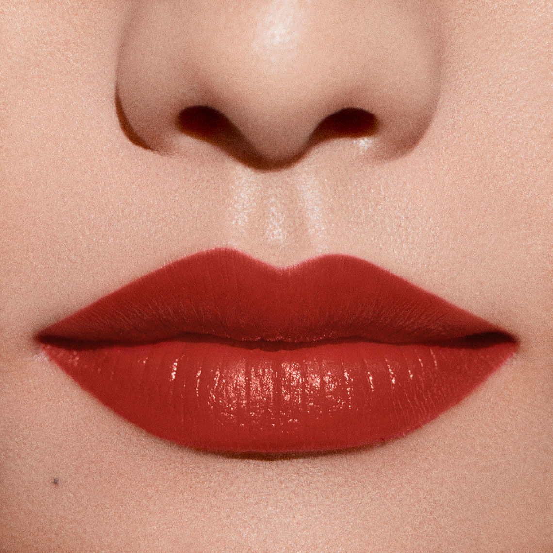Armani lip 405 shop