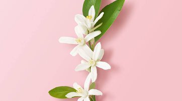 Giorgio Armani My Way Eau De Parfum Intense