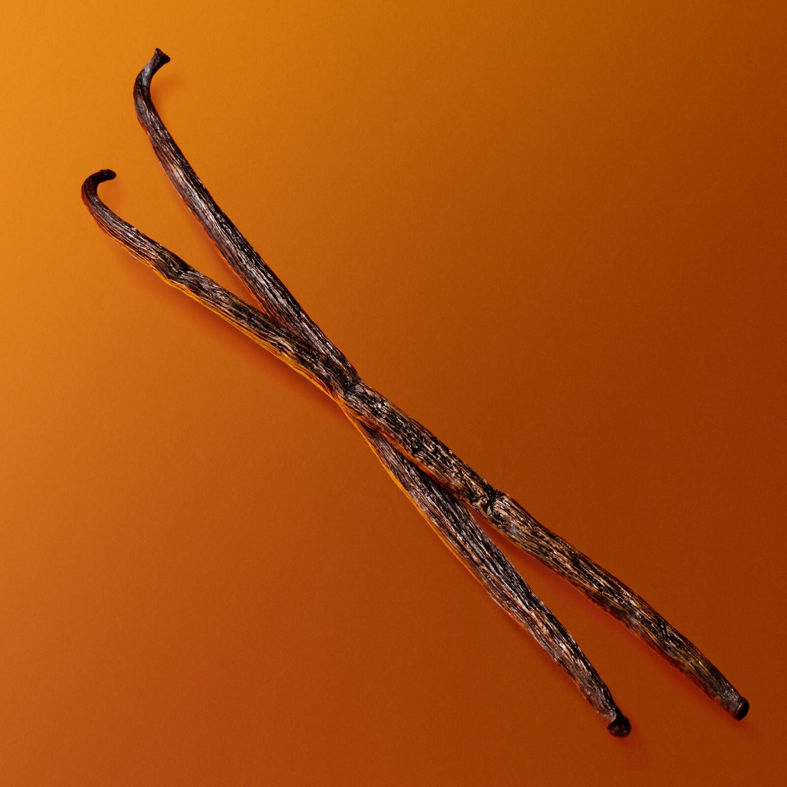 Two dark vanilla bean pods displayed on gradient orange background highlighting natural perfume notes