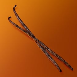 Two dark vanilla bean pods displayed on gradient orange background highlighting natural perfume notes