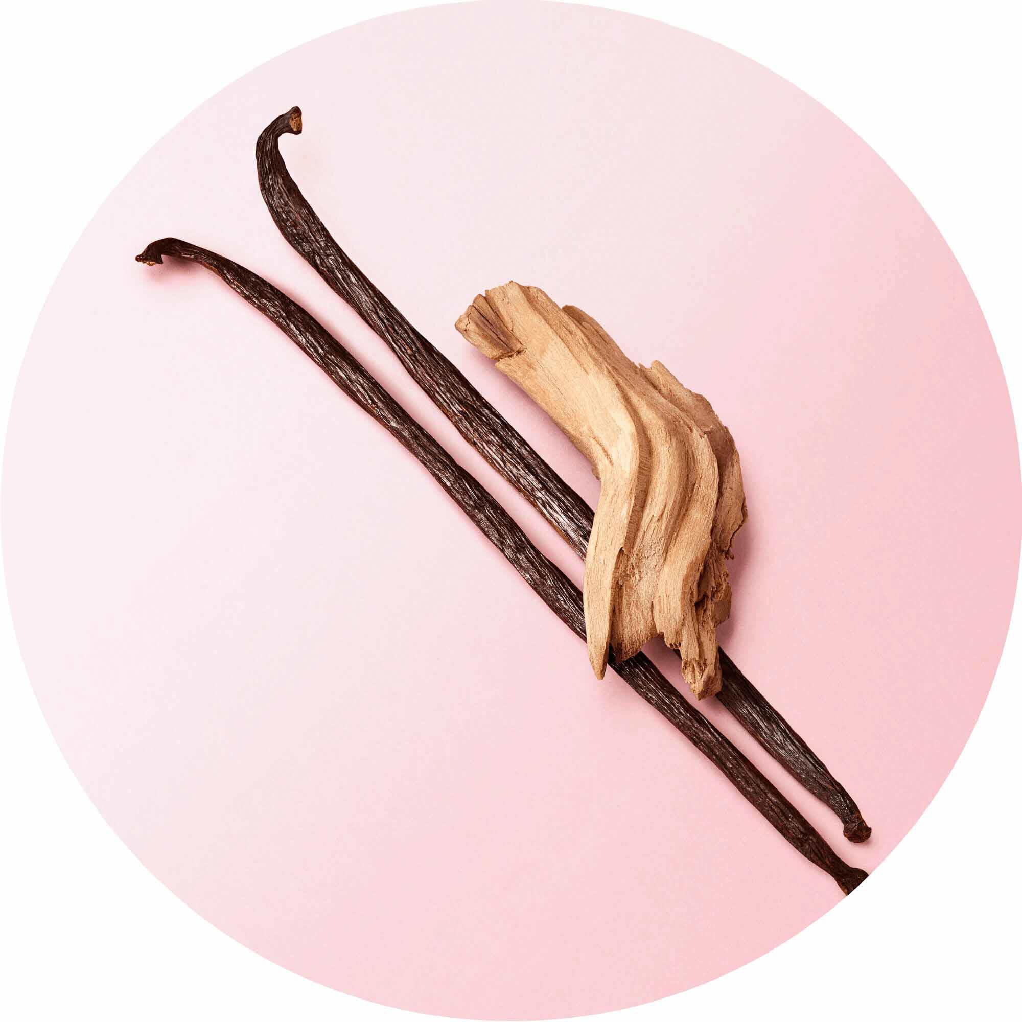 Vanilla beans from Madagascar and cedarwood from Virginia on a soft pink background — cedarwood, vanilla and white musks base notes of My Way Eau de Parfum by Giorgio Armani.