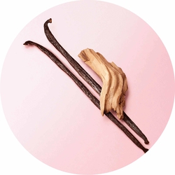 Vanilla beans from Madagascar and cedarwood from Virginia on a soft pink background — cedarwood, vanilla and white musks base notes of My Way Eau de Parfum by Giorgio Armani.