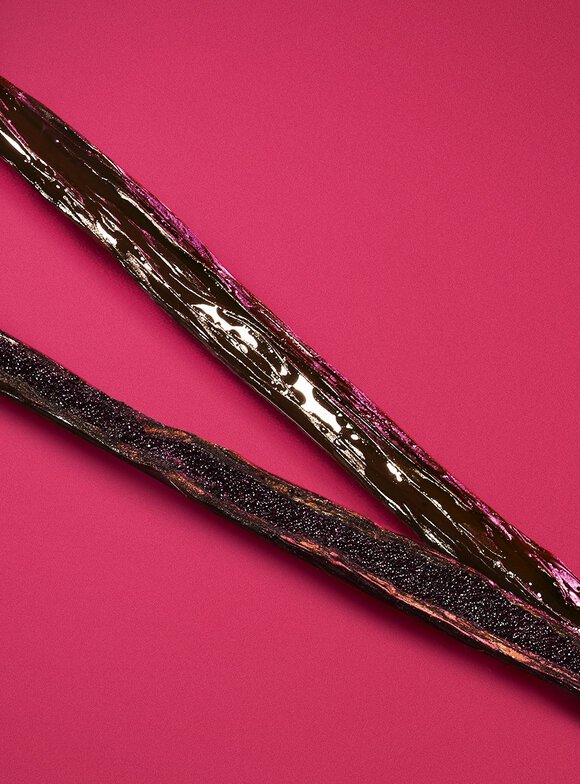 Close-up of glossy vanilla beans with dew droplets on a ruby background, illustrating the addictive base note of the Armani Power of You fragrance.