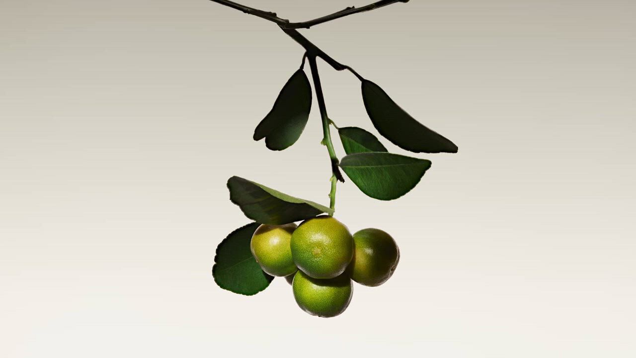 Ingredients of Armani/Prive citrus fragrances.