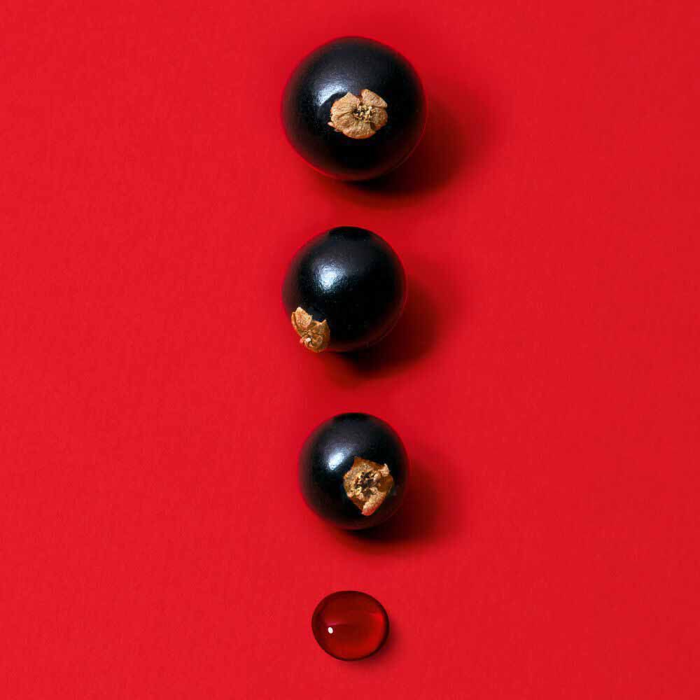Blackcurrant berries on a bold red background — blackcurrant nectar accord top note of Si Passione Eau de Parfum by Giorgio Armani.