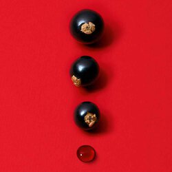 Blackcurrant berries on a bold red background — blackcurrant nectar accord top note of Si Passione Eau de Parfum by Giorgio Armani.