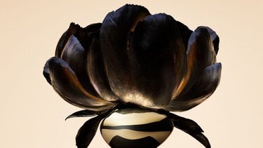 Armani/Prive Oud Royal fragrance bottle against a beige backgound with an opulent black flower.