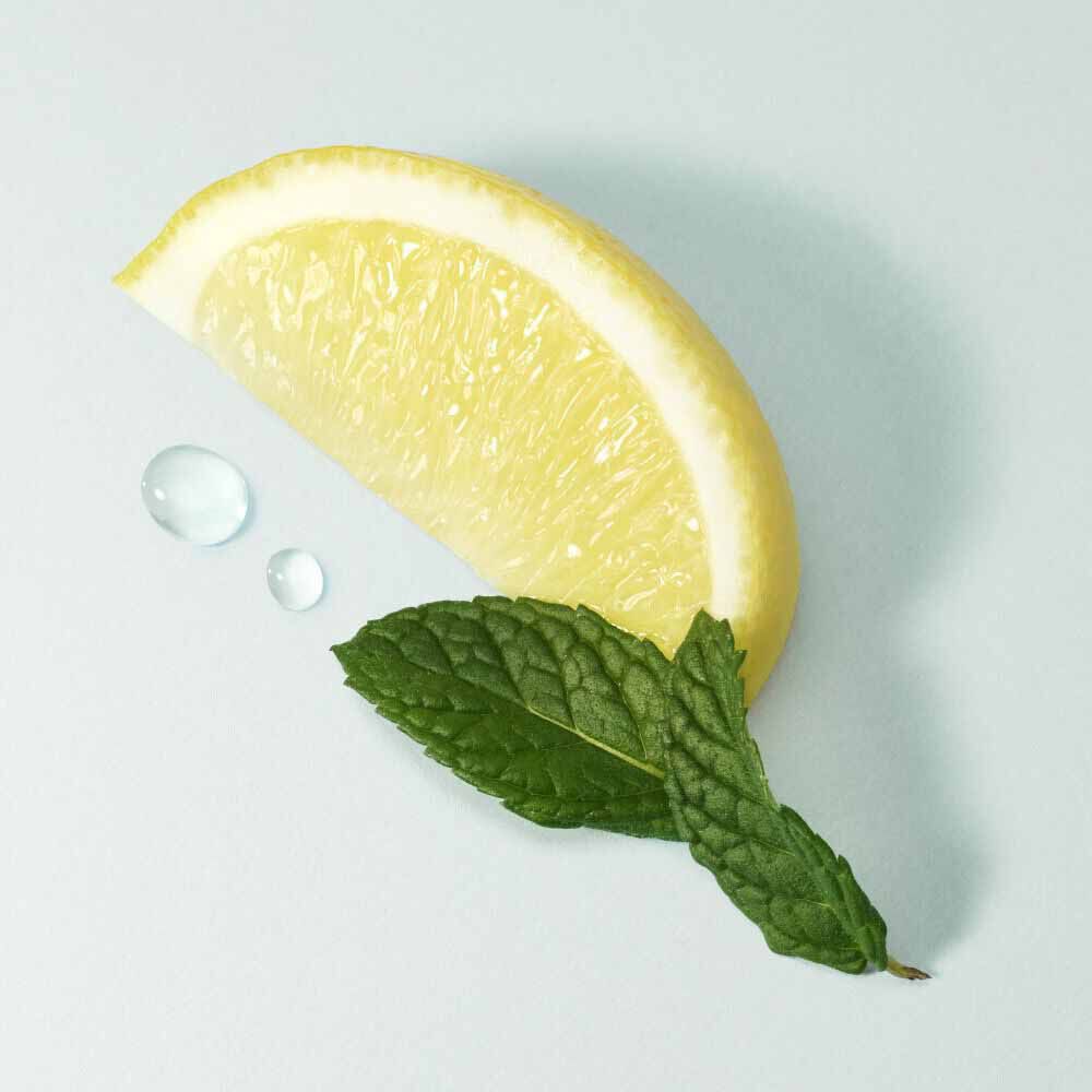 Primofiore lemon slice and fresh mint leaf on a soft aqua background — primofiore lemon top note of Acqua di Gioia Eau de Parfum by Giorgio Armani.