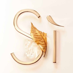 Golden dried leaf and white musks against the gold Si signature on a blush background — musky white woody chypre accord base note of Si Eau de Parfum by Giorgio Armani.