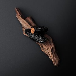 Tonka bean and cedarwood on a dark background — tonka bean and cedar wood base notes of Armani Code Eau de Toilette by Giorgio Armani.