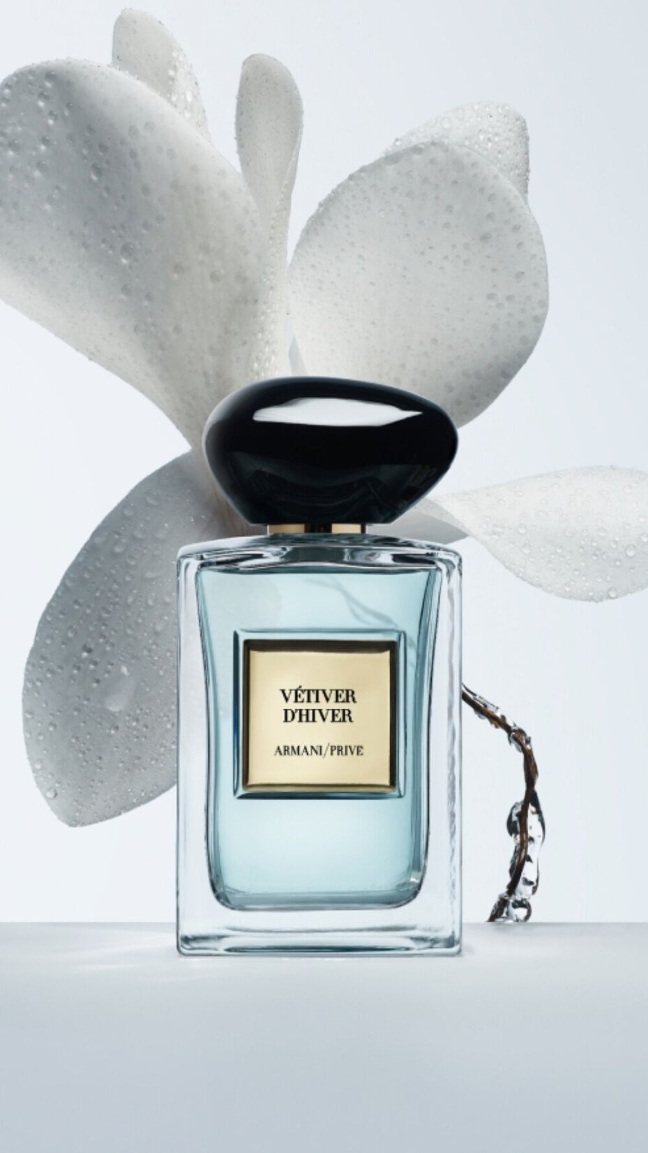 Vetiver d'Hiver perfume bottle with a soft white floral element in the background.