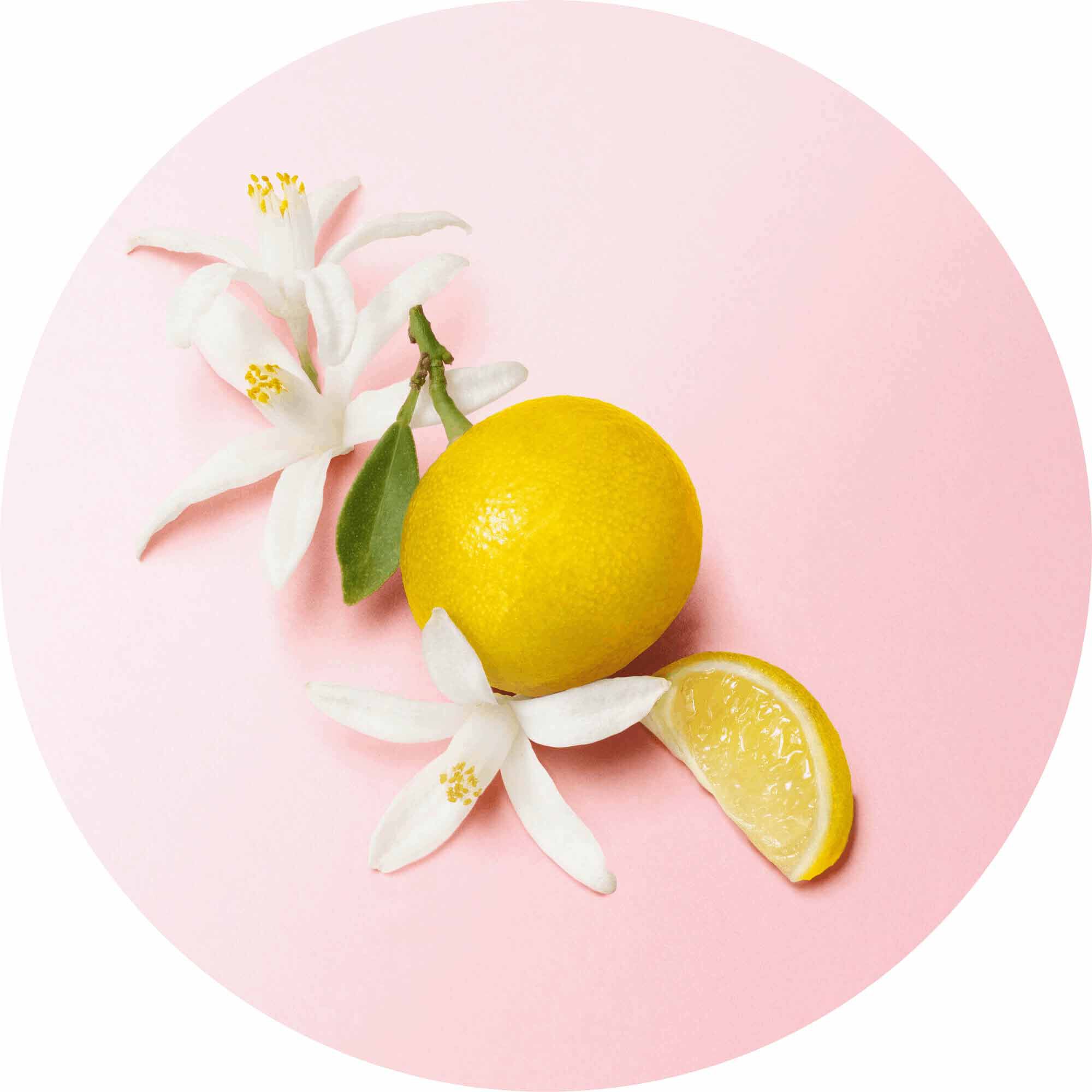 Bergamot and orange blossom on a soft pink background — bergamot from Calabria and orange blossom top notes of My Way Eau de Parfum by Giorgio Armani.