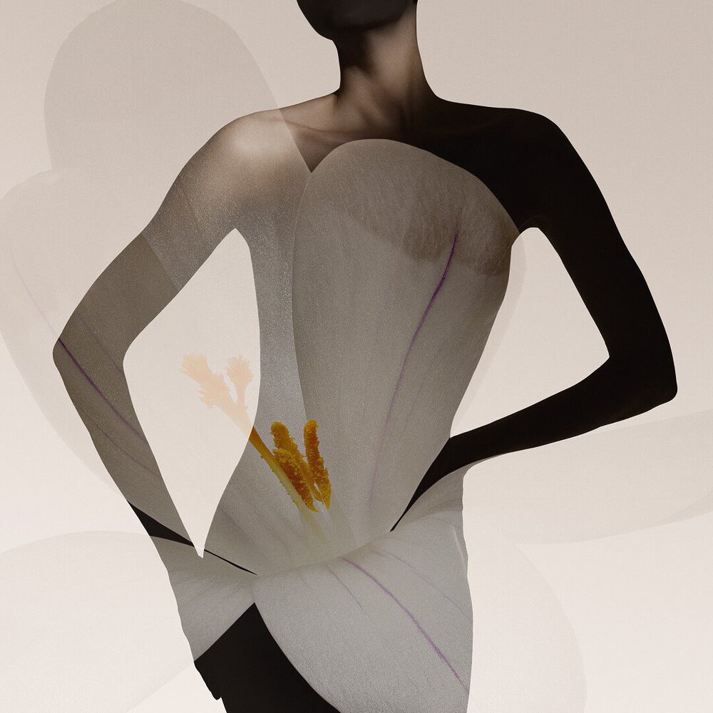 Armani/Prive Oud Royal fragrance bottle against a beige backgound with an opulent black flower.