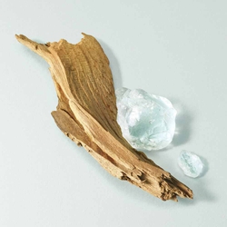 Cedarwood bark and labdanum resin on a soft aqua background — cedarwood and labdanum base notes of Acqua di Gioia Eau de Parfum by Giorgio Armani.