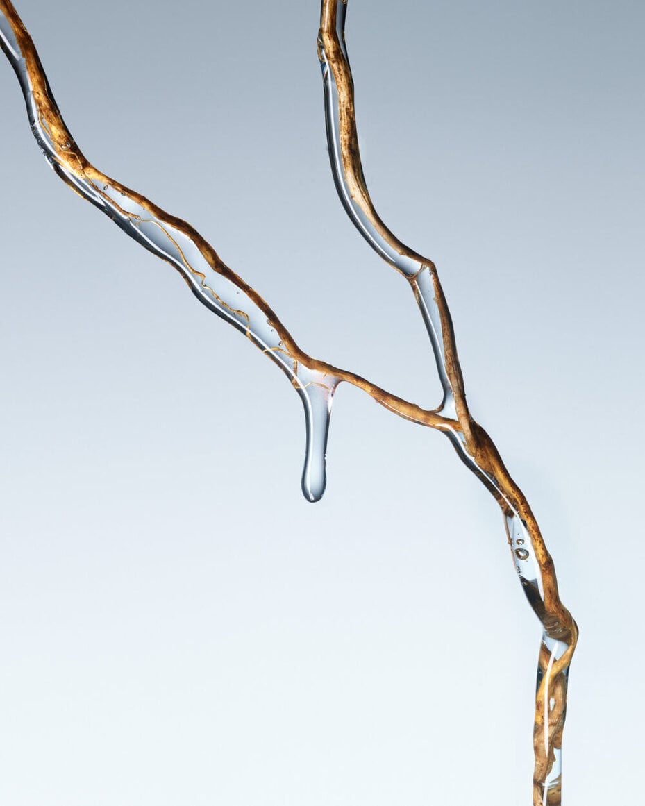 Close-up of a bare branch covered in ice droplets, symbolizing winter.