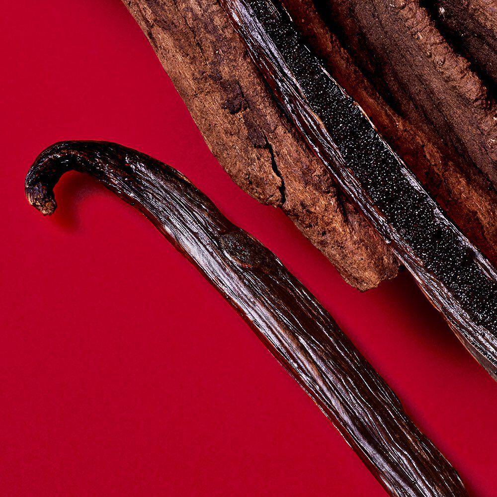 Close-up of vanilla and wood on red