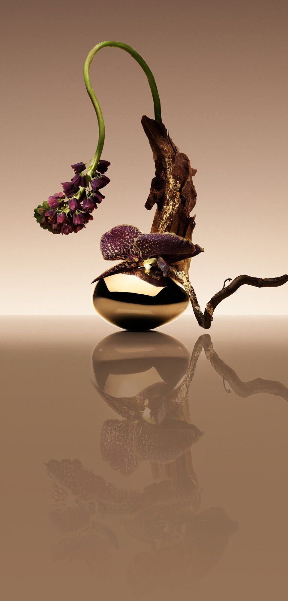 Ikebana with Oud, Saffron and Jasmine flower accompanied by text explaining the "Olfaction Story" of OUD NACRE.