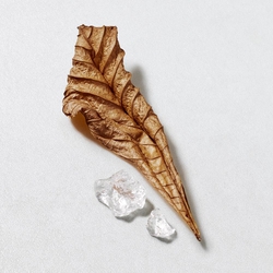 Dried patchouli leaf and white musk crystals on a light grey background — white musks and patchouli base notes of Acqua di Gio Eau de Toilette by Giorgio Armani.