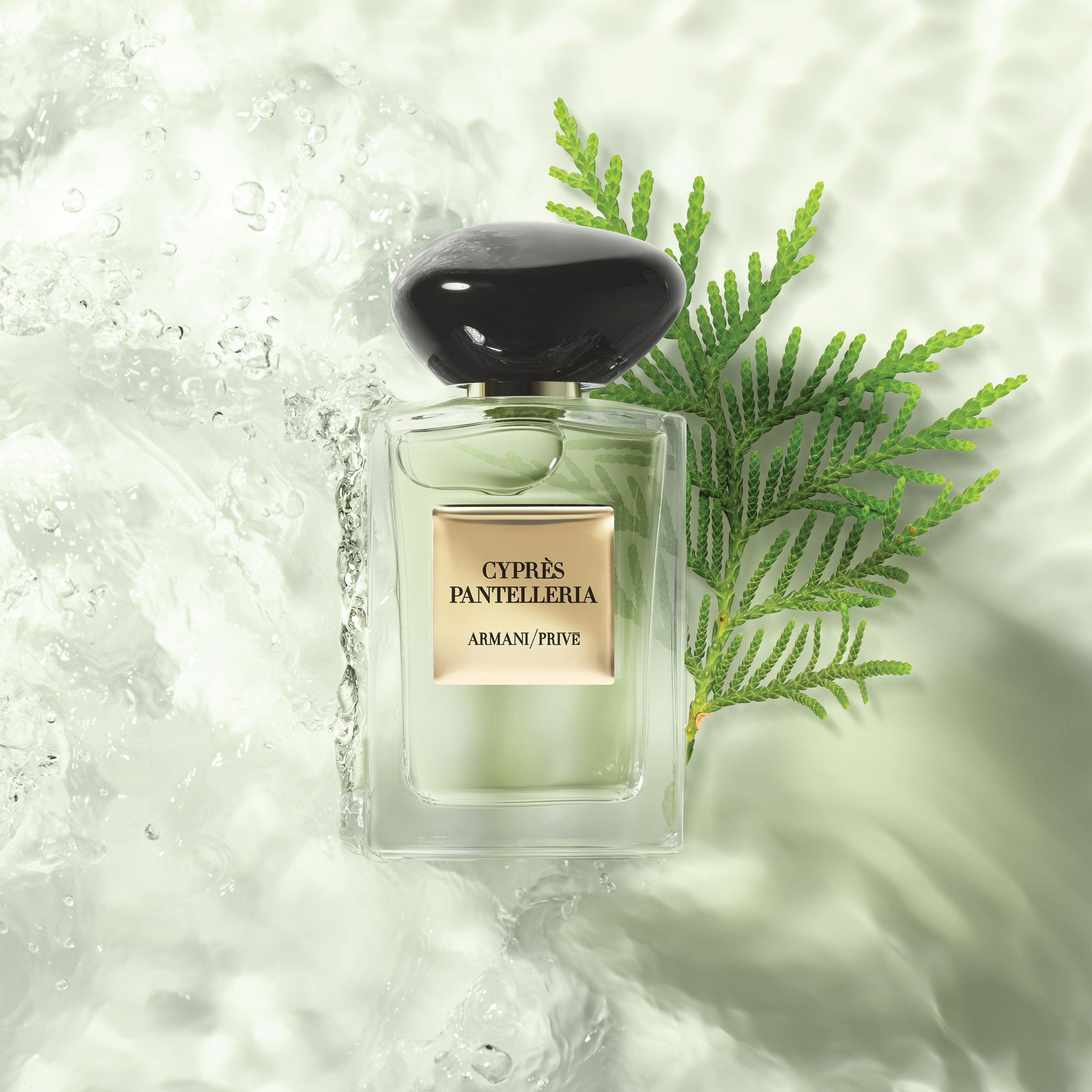 Armani private collection fragrance outlet