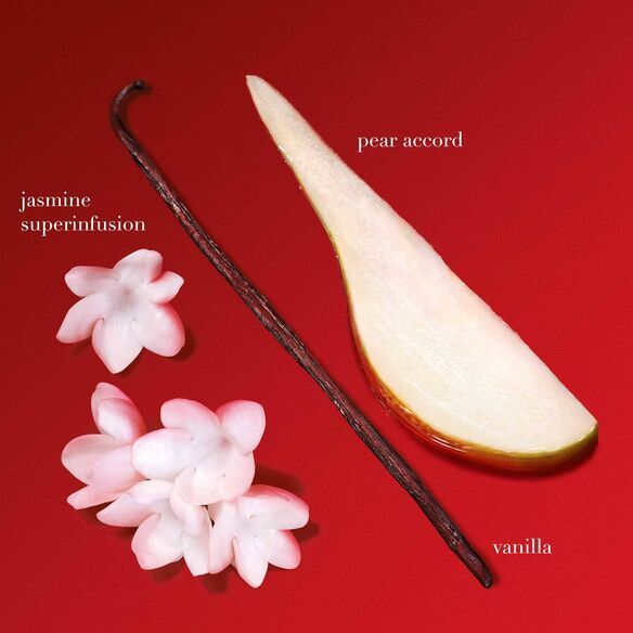 si passione intense notes