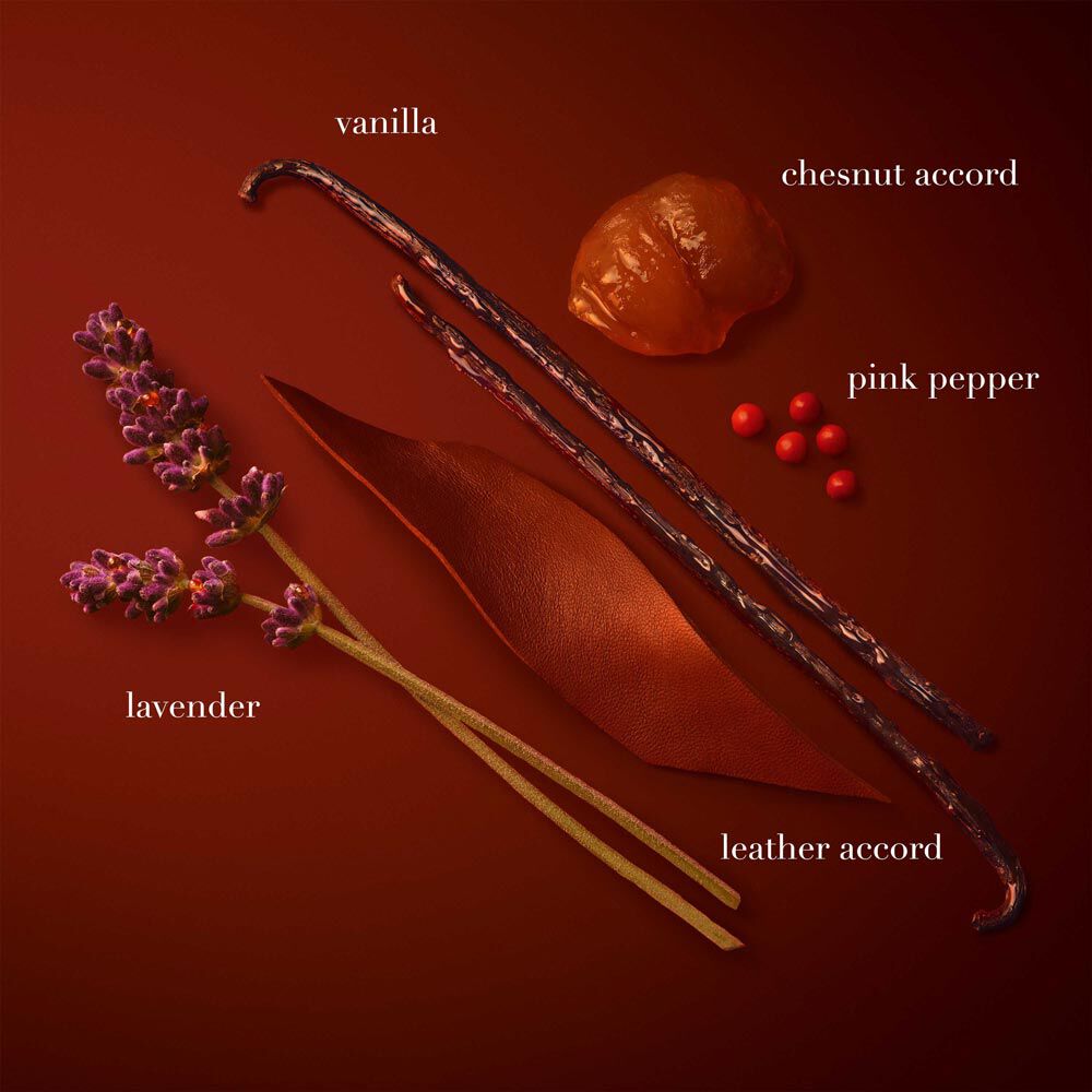 STRONGER WITH YOU PARFUM