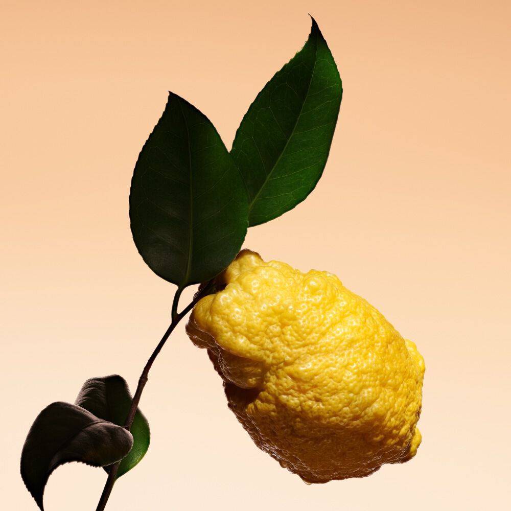 Cedrat fruit and leaves, celebrating a signature note in Armani/Prive Orange Mediterranee.