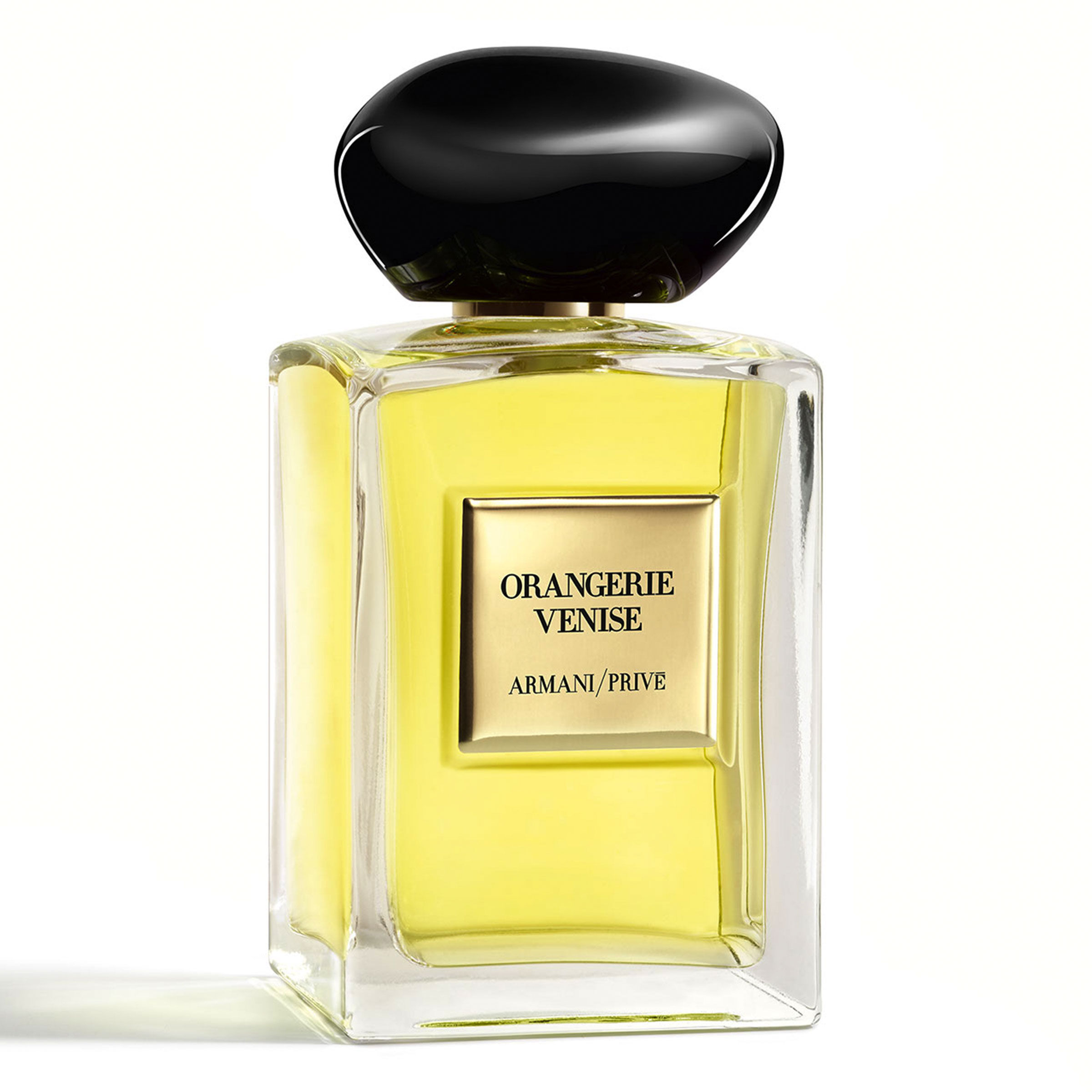 giorgio armani orangerie venise