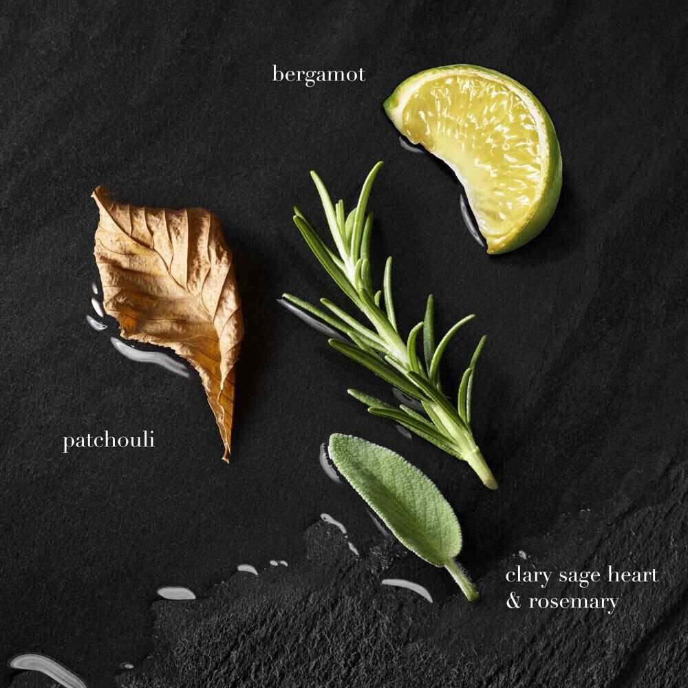 A flat lay of bergamot, patchouli leaf, rosemary, and clary sage, labeled as key notes of Acqua di Gio Parfum on a dark background.