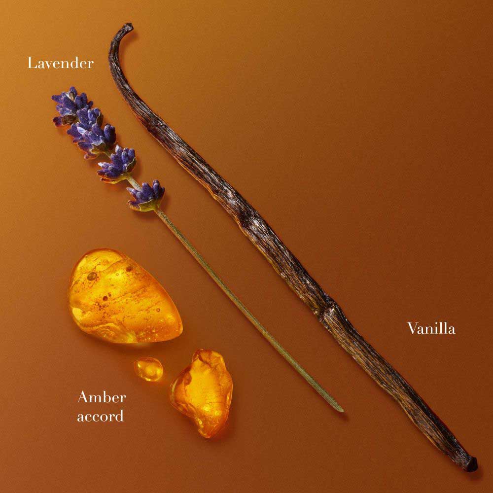 Vanilla beans, lavender and amber resin pieces arranged on warm orange background showcasing fragrance ingredients