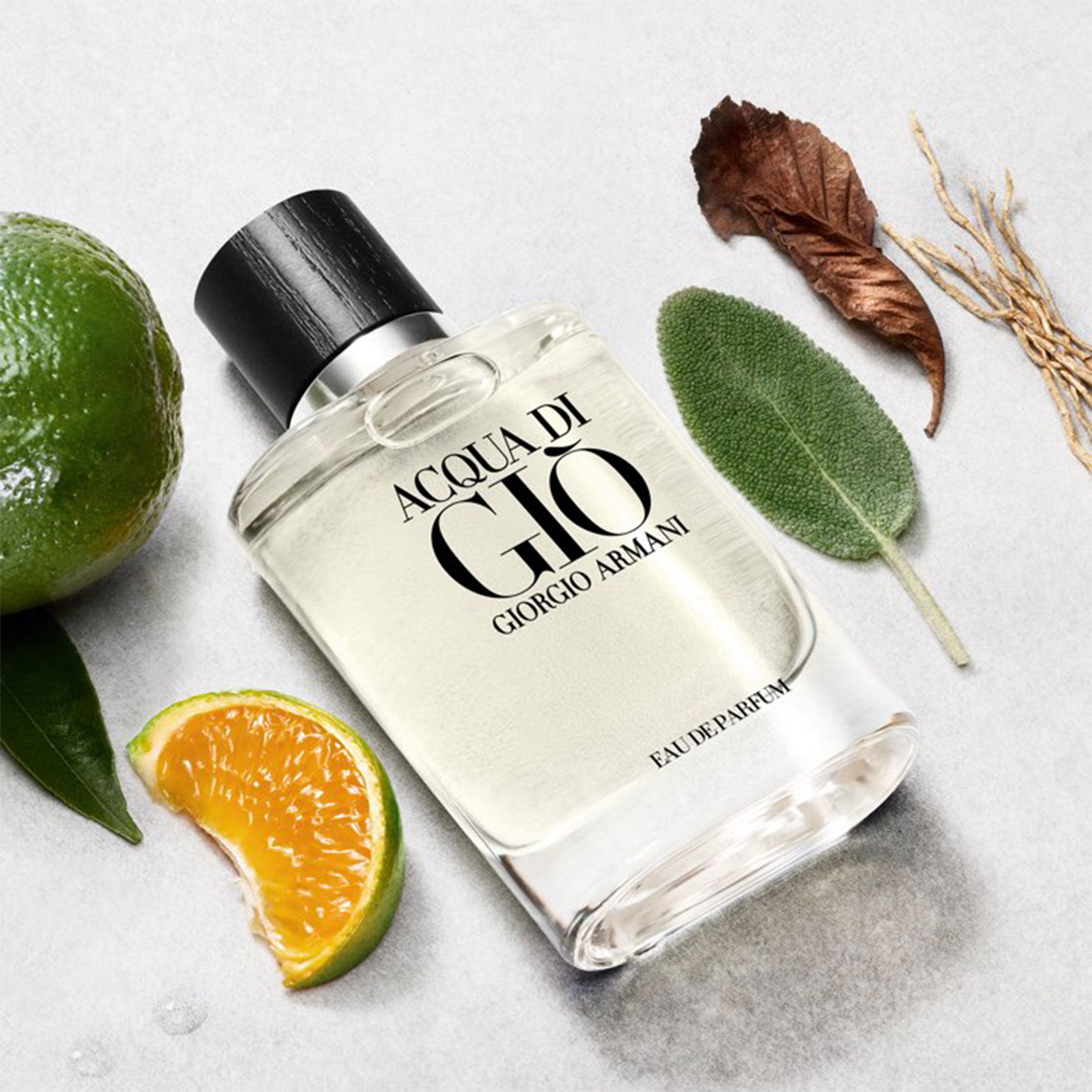 Acqua di gio absolu australia sale
