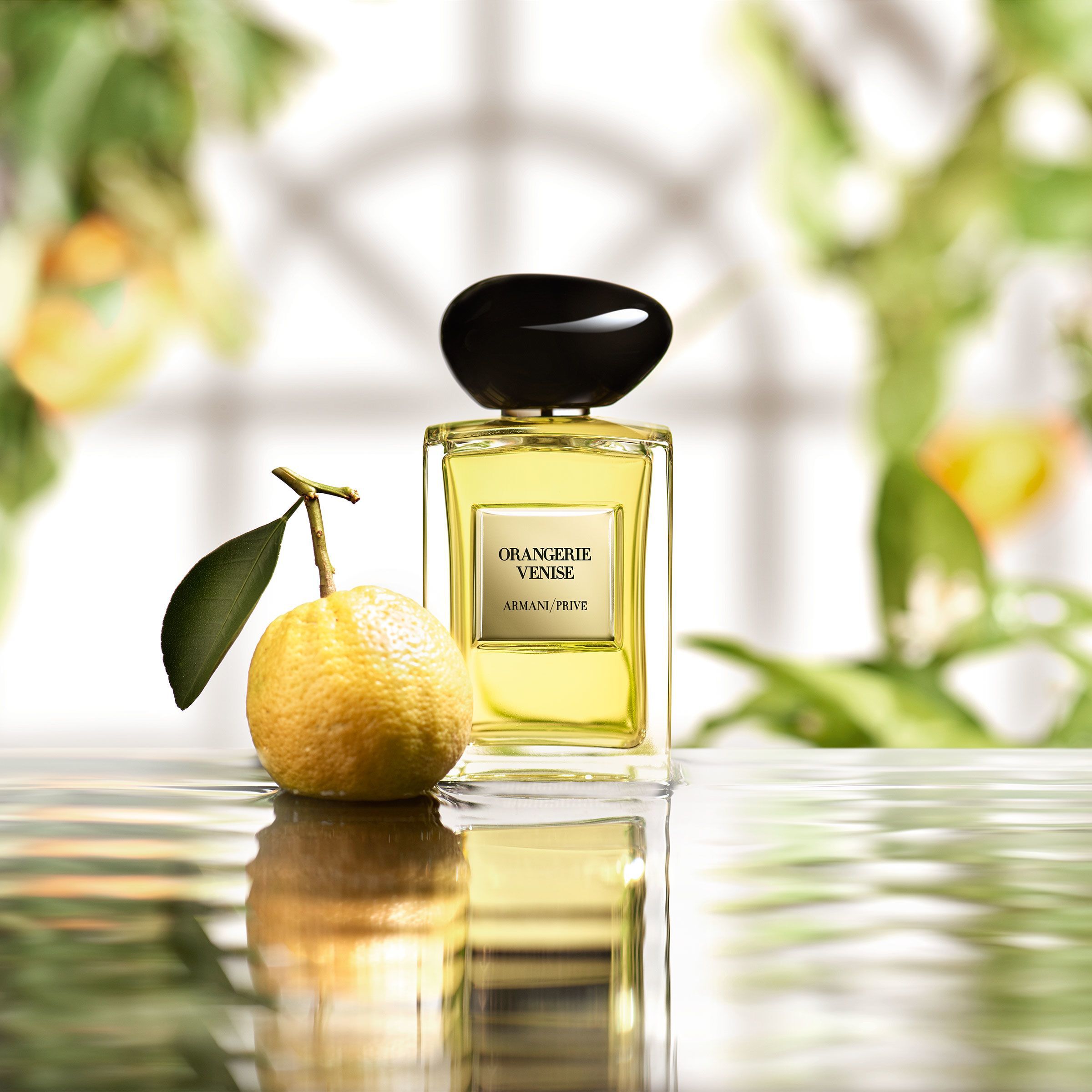 Giorgio armani online orange perfume