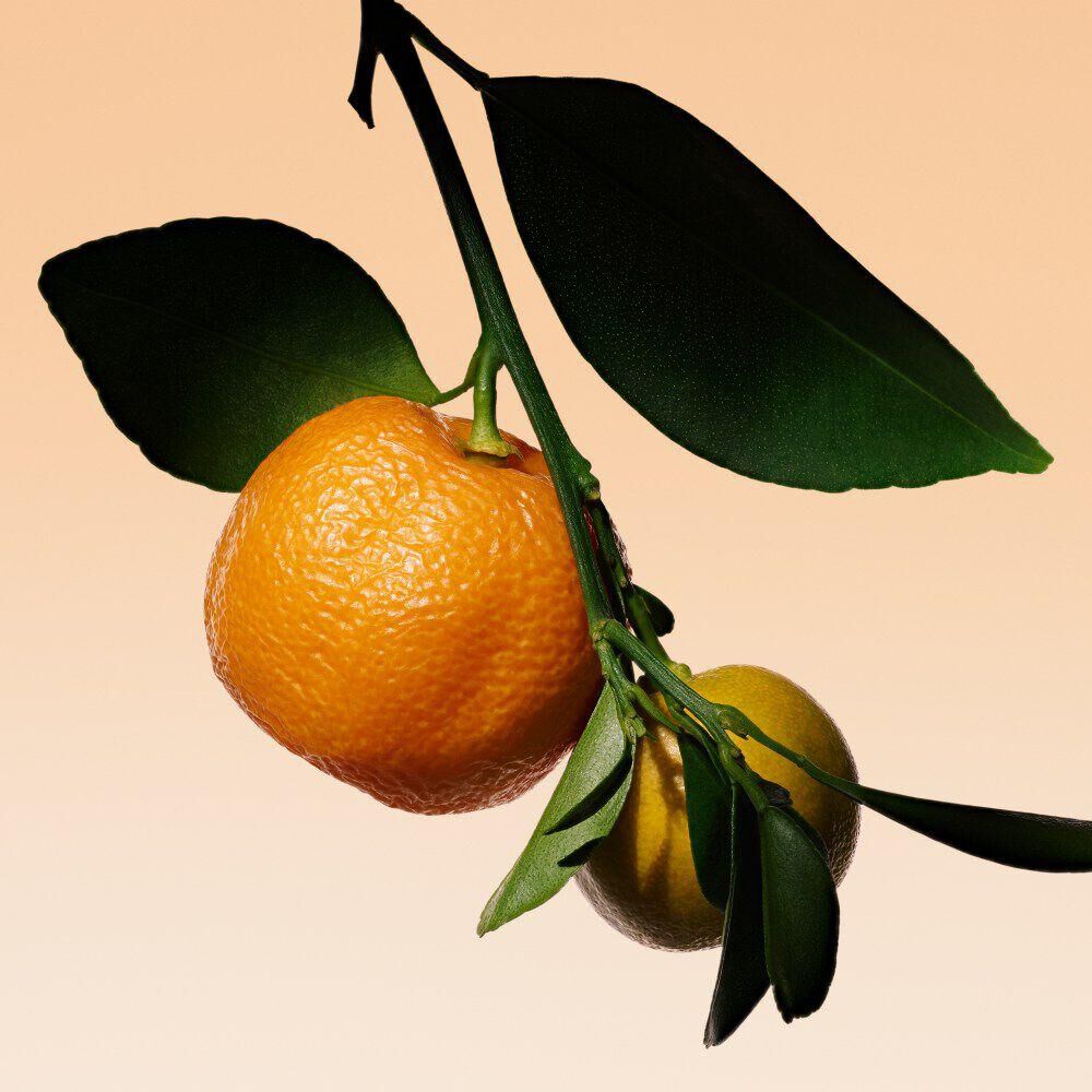 Bitter orange branch with lush leaves, highlighting a key ingredient in Armani/Prive Orange Mediterranee.