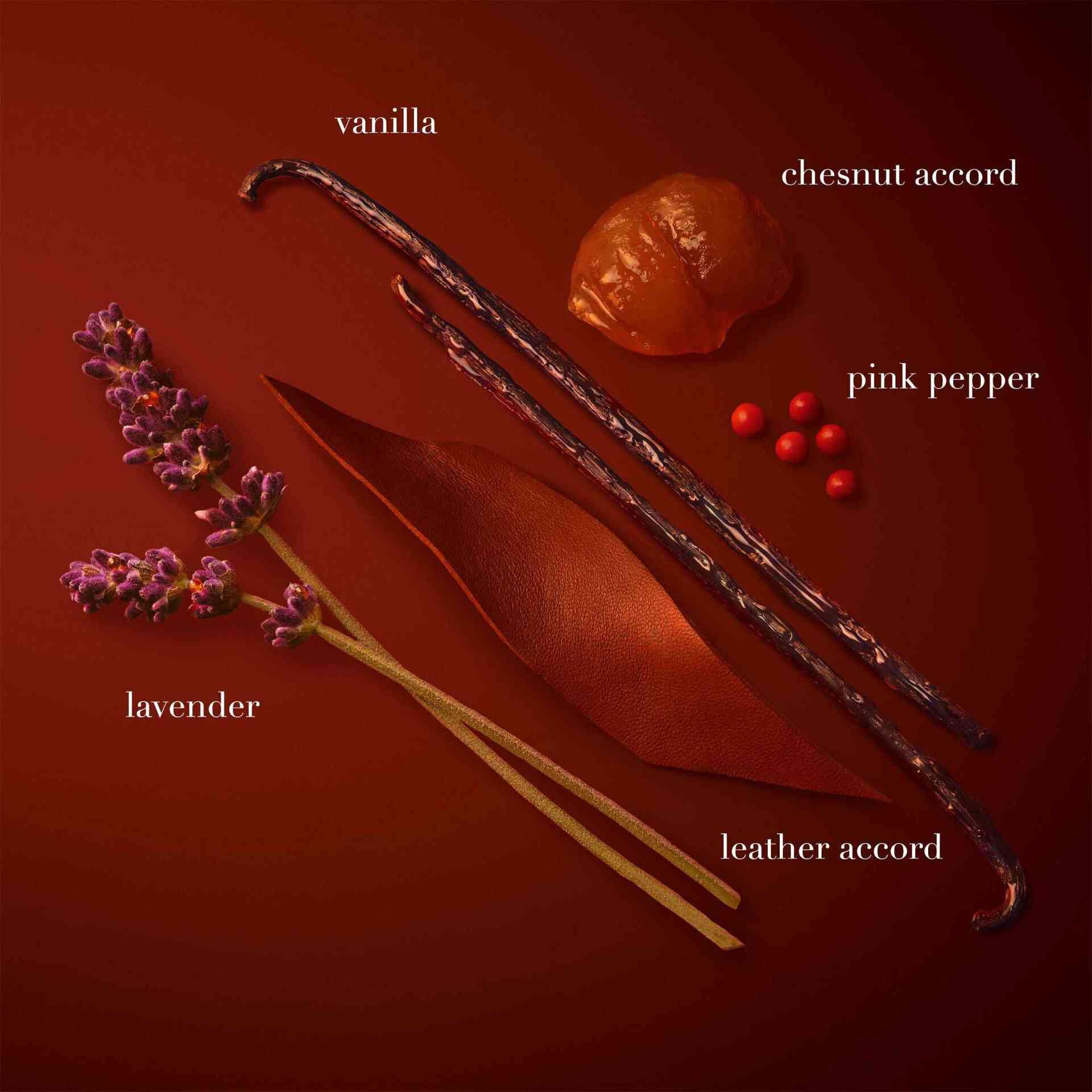 On a deep red background, the key fragrance ingredients of "Stronger With You Parfum" are artfully arranged and labeled: vanilla, chestnut accord, pink pepper, lavender, and leather accord.