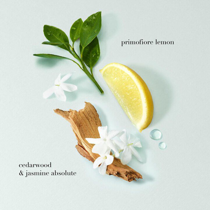 My Way Eau de Parfum ingredients: tuberose, jasmine, cedarwood, vanilla, bergamot and orange blossom.