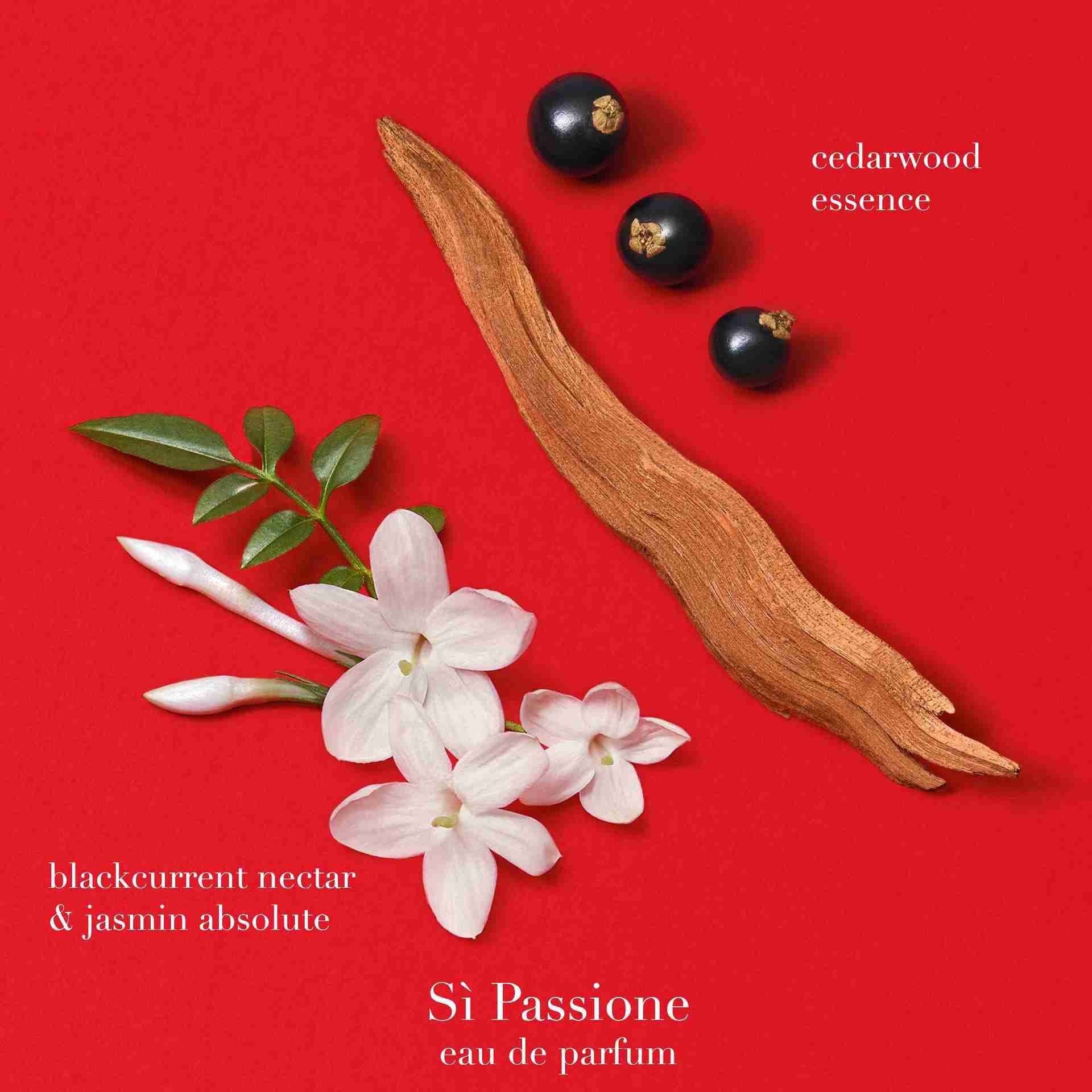 Armani Si Passione EDP ingredients: rose, blackcurrant, patchouli, and freesia on a light background.	
