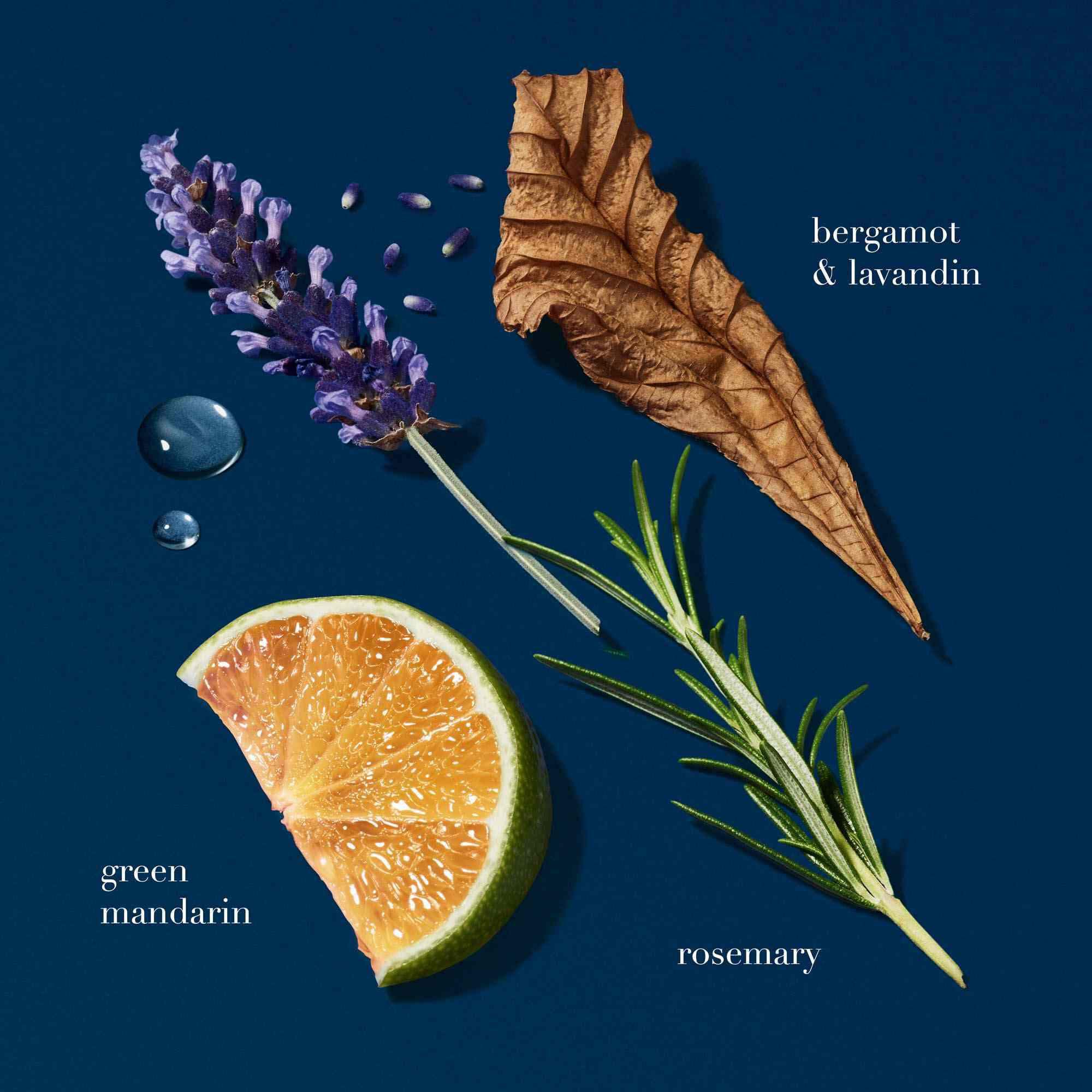 Armani ACQUA DI GIO PROFONDO fragrance ingredients visual featuring green mandarin, rosemary, bergamot, lavender, and patchouli on a deep blue background, highlighting the scent’s fresh and aromatic notes.