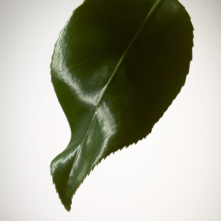 Armani Prive The Yulong Eau de Toilette