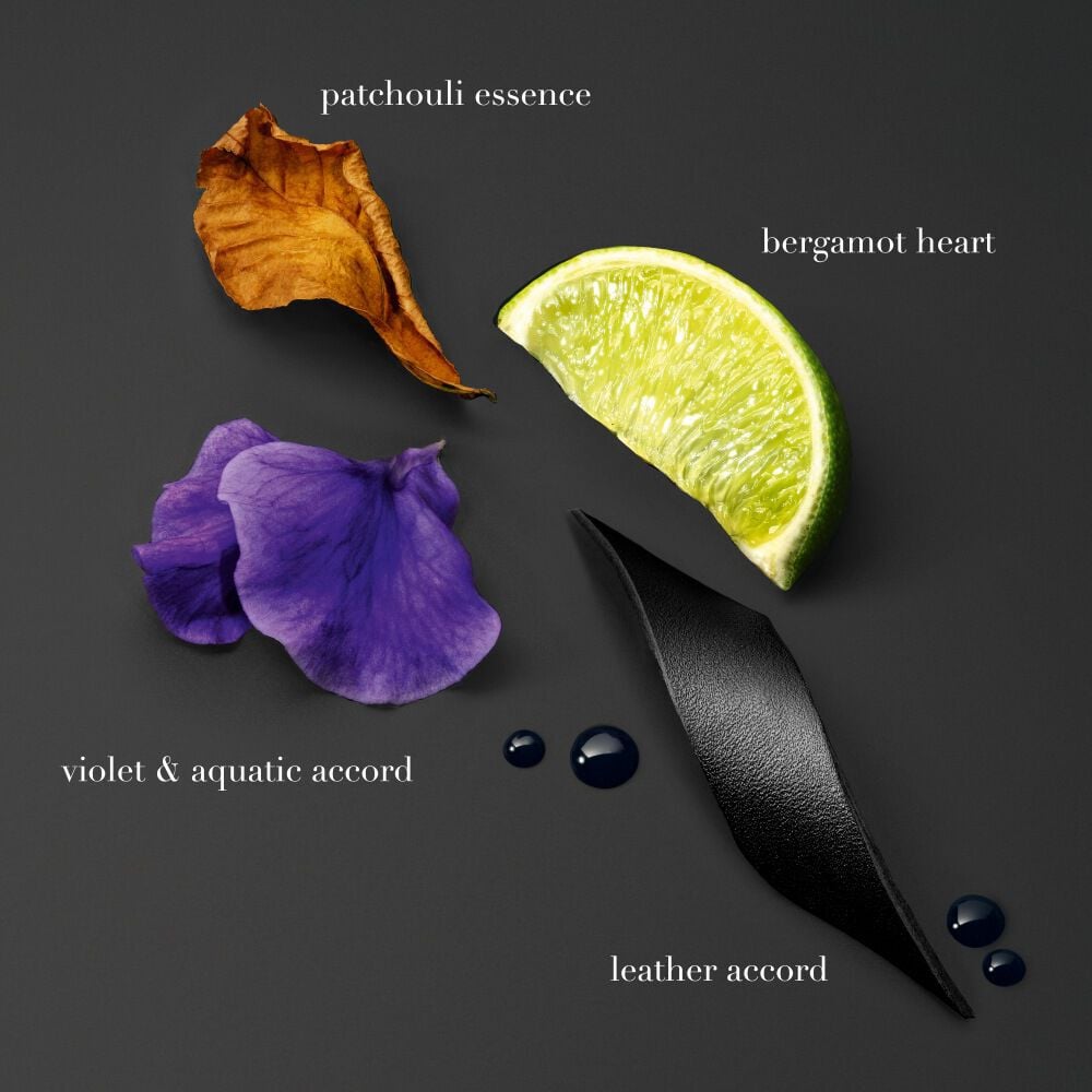 ACQUA DI GIO ELIXIR