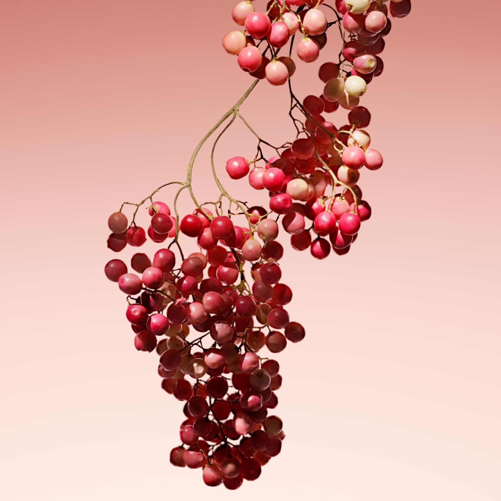 Armani Prive Rouge Malachite Eau De Parfum