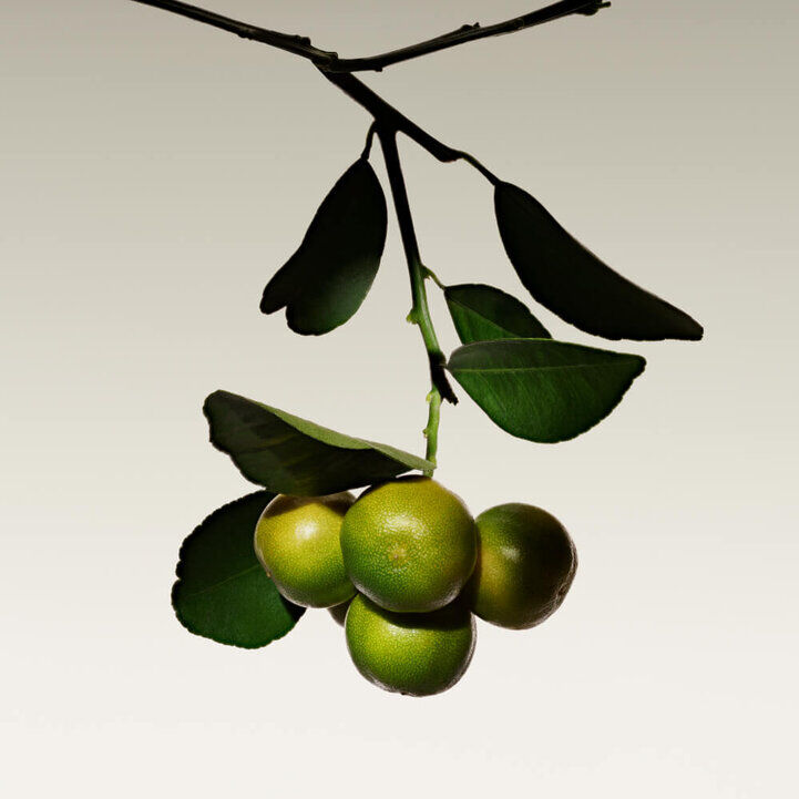 Armani Prive The Yulong Eau de Toilette