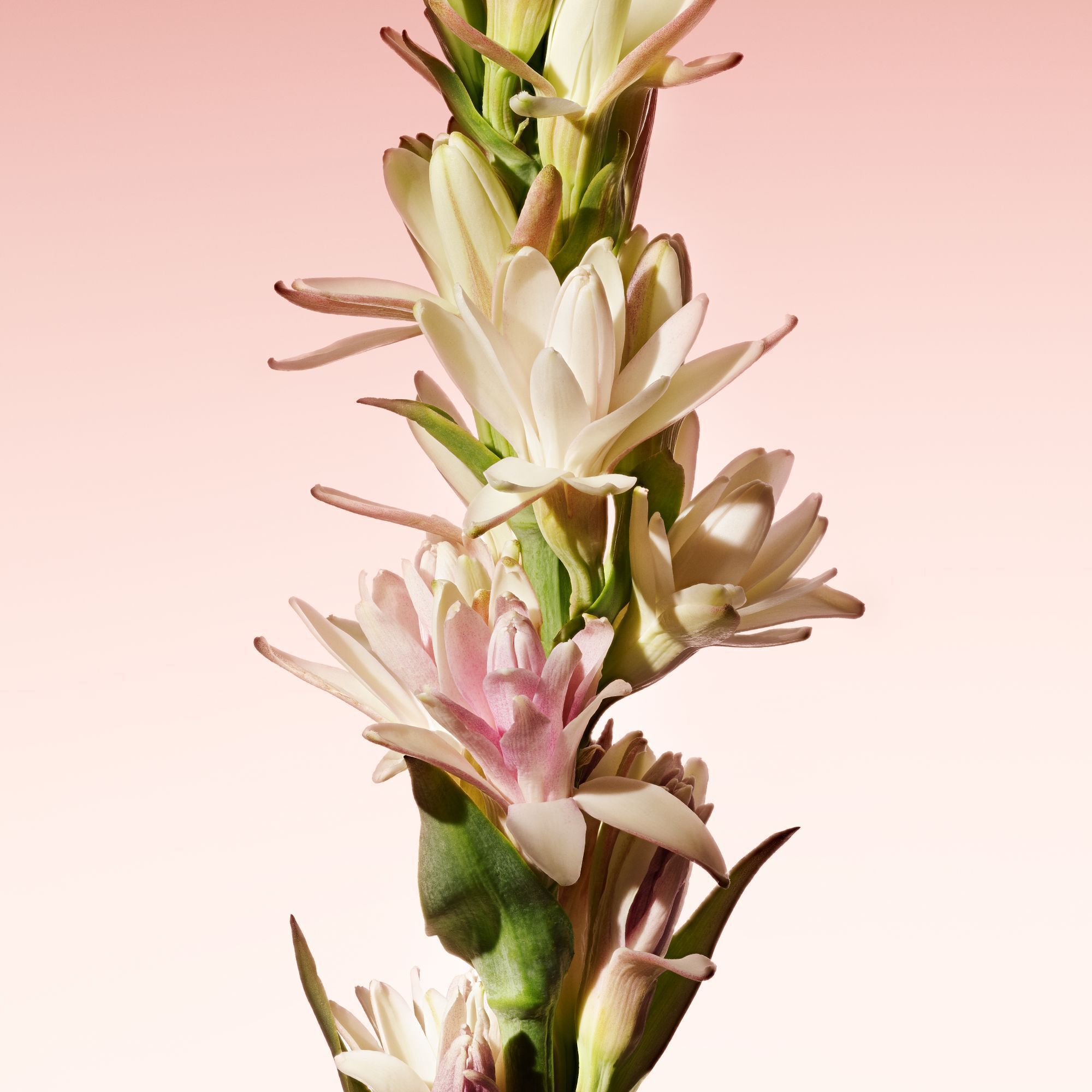 Armani Prive Rouge Malachite Eau De Parfum